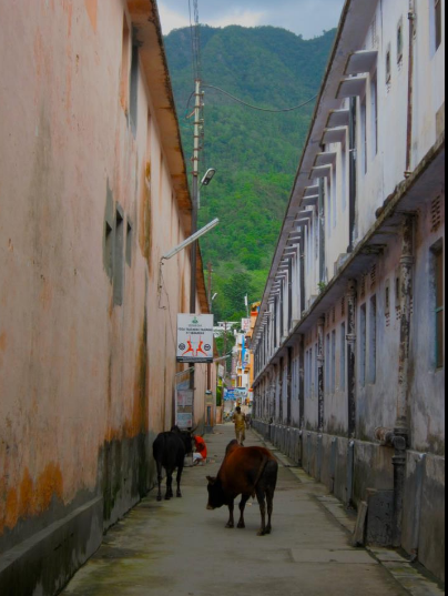 Rishikesh