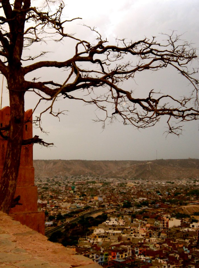 Daydream among rooftops